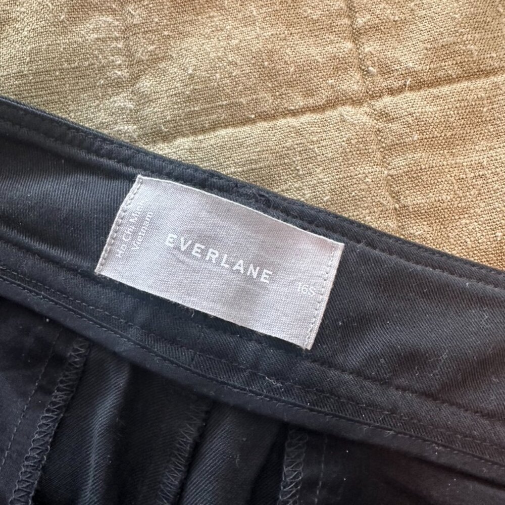 Everlane The Way-High Drape Pant - image 2